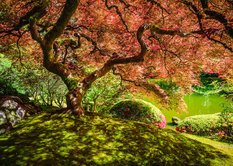 JapaneseGarden_13LR_4096px.jpg