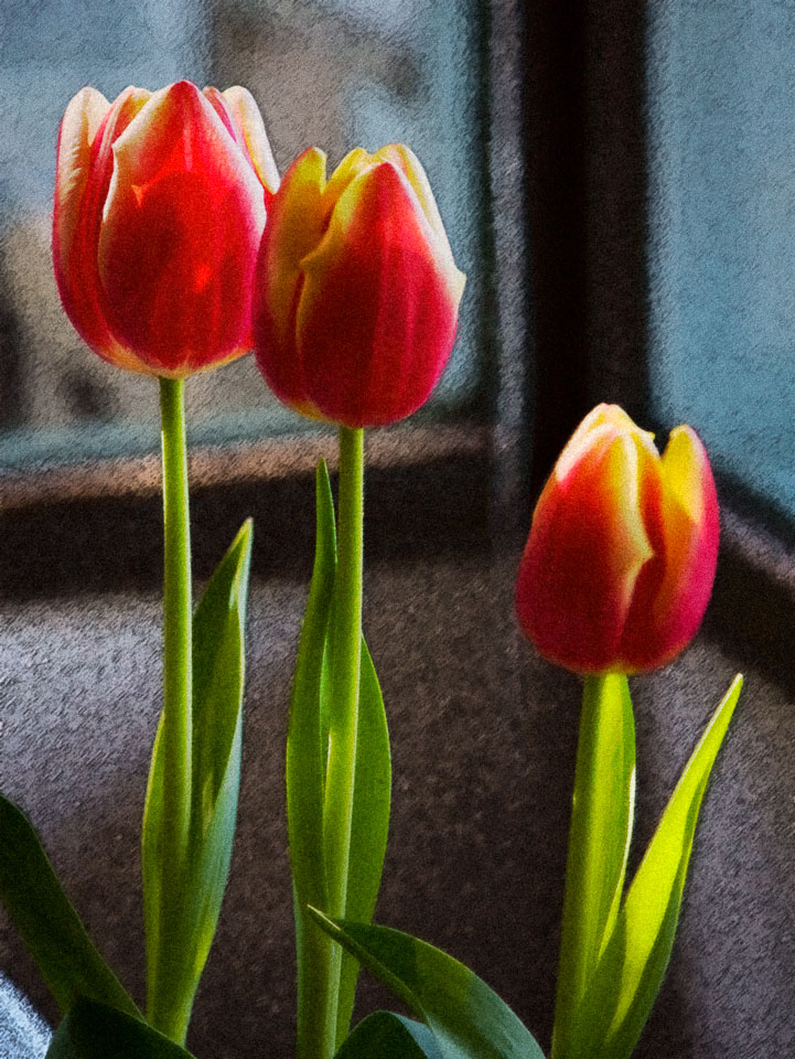 RedTulips_05B_4096px.jpg